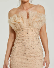 Beige Strapless Embellished Tulle Mermaid Gown