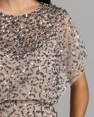 Lilac High Neck Short Sleeve Embellished Gown